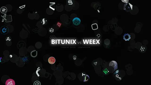 Stablecoin Margin and Funding: BITUNIX vs WEEX for USDT-Style Books